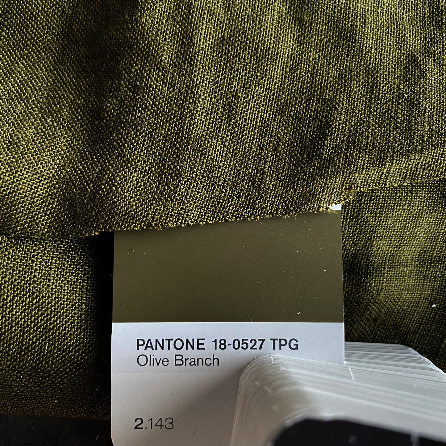 OLIVE BRANCH-170gr/m2 feuille supérieure